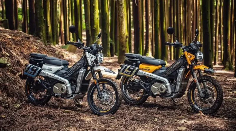 Ajs Leten Lt 190 une Moto Utilitaire Tout Terrain Craquante a 4000e